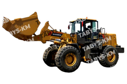 Фронтальный погрузчик Shanmon SHANMON ZL958SM